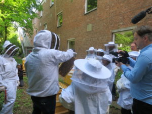 Bienen-Projekt am Humboldt-Gymnasium